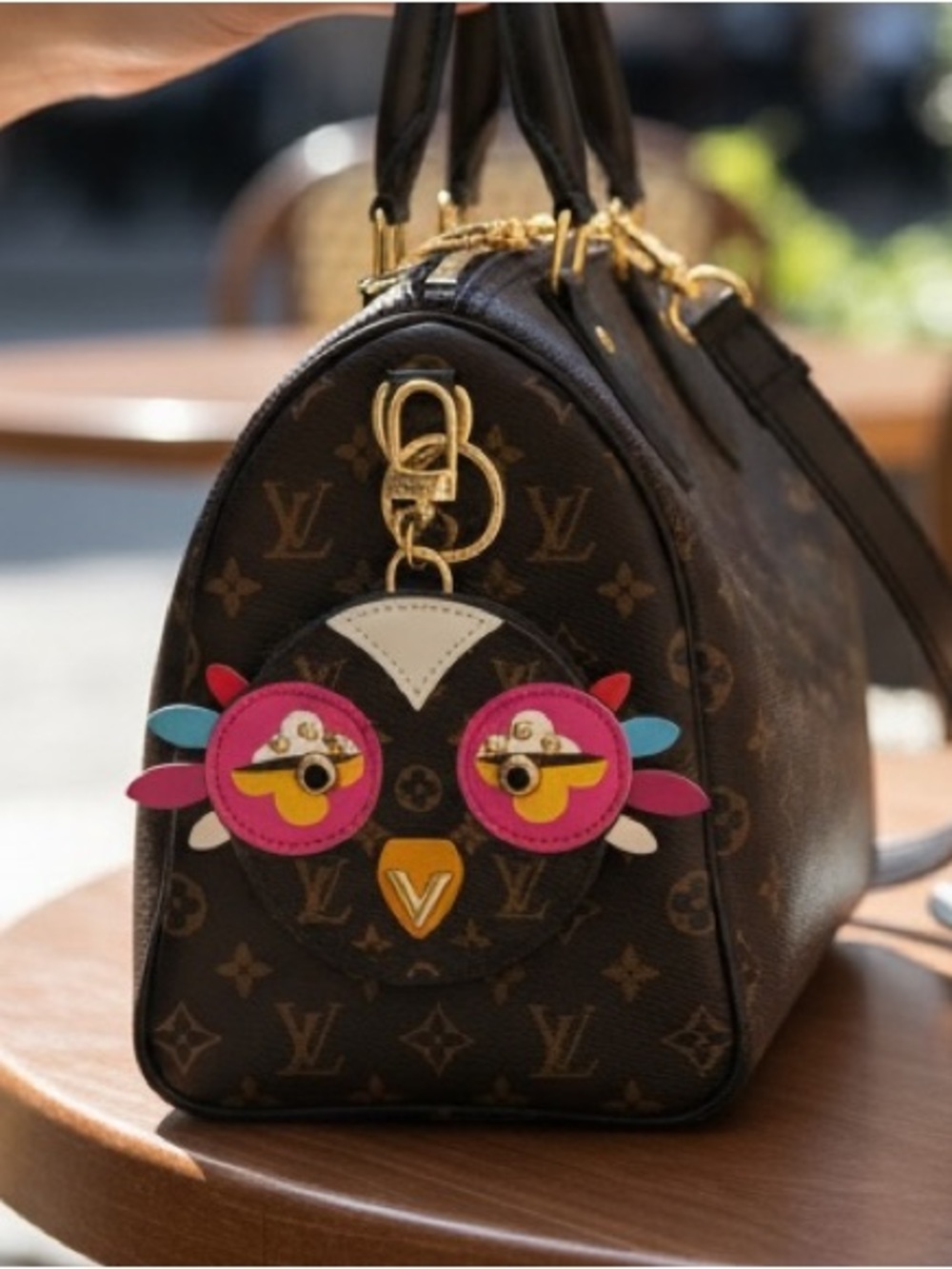 Limited Edition Monogram Canvas Lovely Birds Bag Charm and Key Chain case new